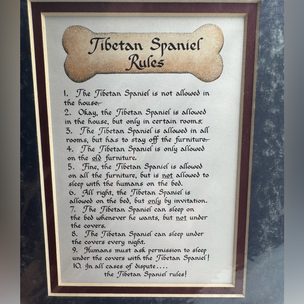 Tibetan Spaniel Rules Calligraphy Wall Art matted, no frame 8 x 6 NIP